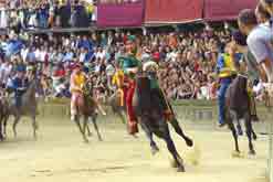 Picture - Horse race in Siena